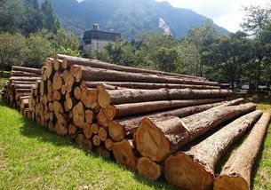 澳凡家居将木材的本质发挥到极致,让高档实木家具,可以呈现自然原貌
