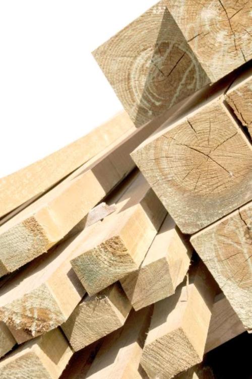 松树采割松脂后,木材还有利用价值吗