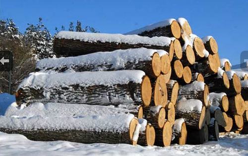乌克兰 服务乌克兰 原木,木料,锯材 木材采运,木材加工 圆木,锯材加工