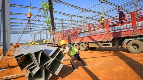 贵港市港南区多个木业项目加紧建设中