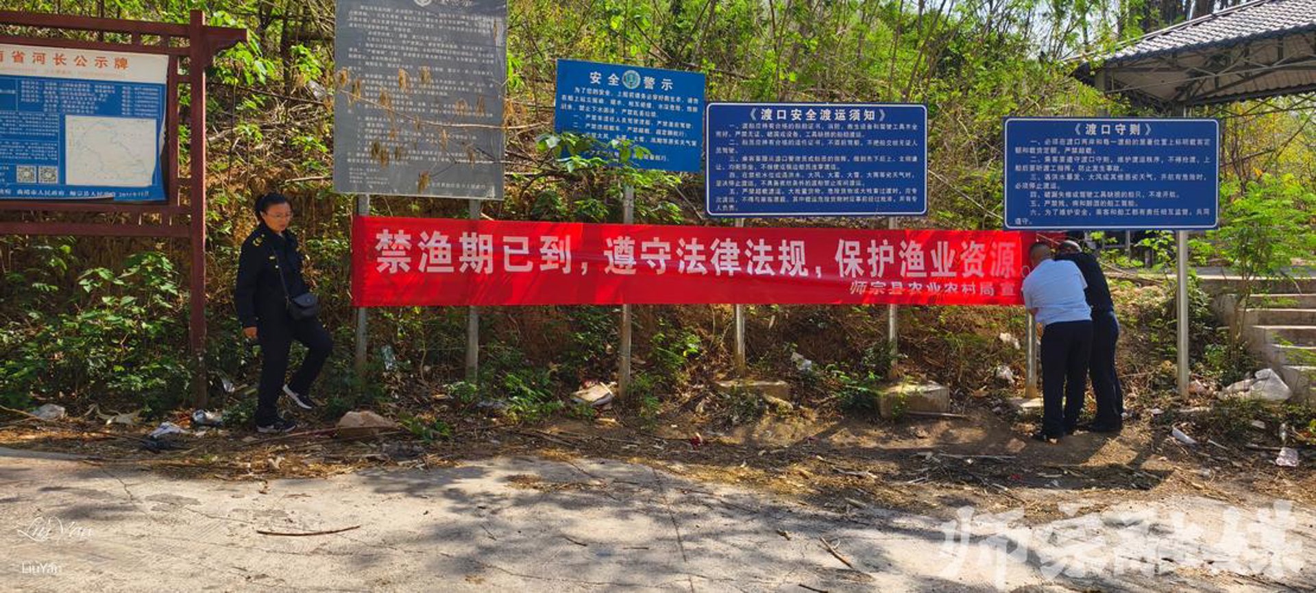 华方木材采运